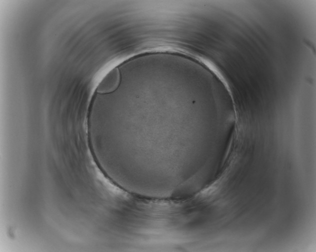 X0000099500951200805151428