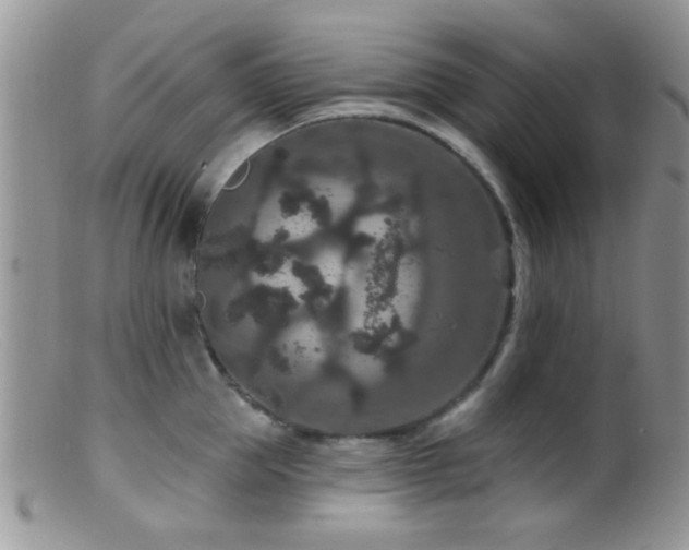 X0000099500953200805151428