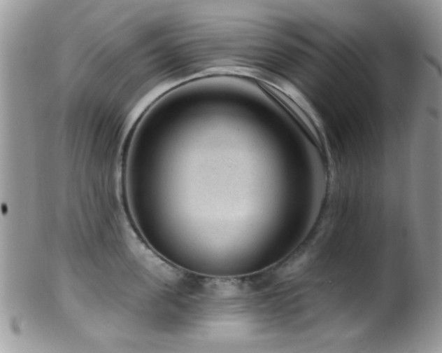 X0000099500955200805151428