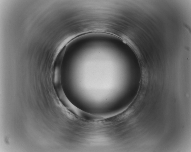 X0000099500956200805151428