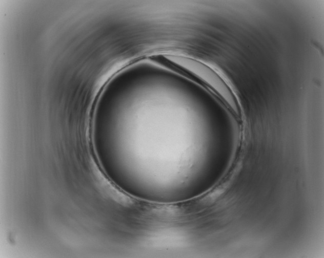 X0000099500957200805151428