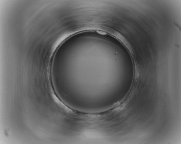 X0000099500958200805151428