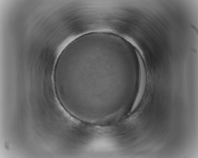 X0000099500959200805151428