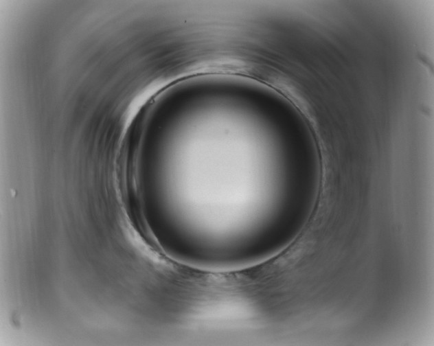 X0000099500960200805151428