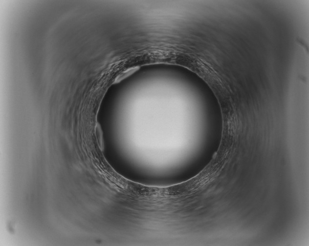 X0000099500961200805151427