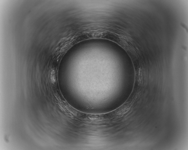 X0000099500962200805151427