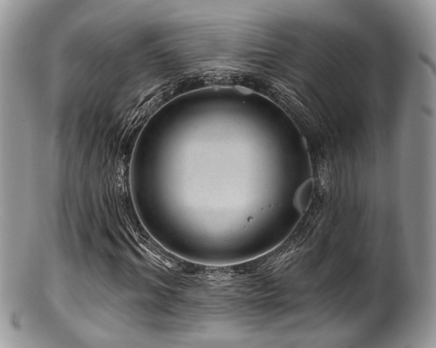 X0000099500964200805151427