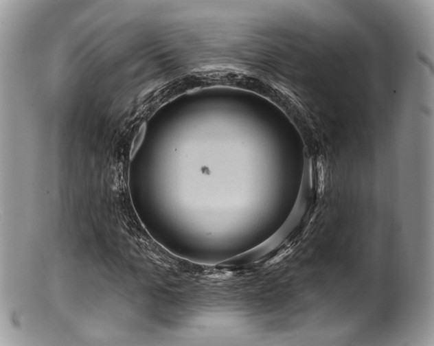 X0000099500965200805151427