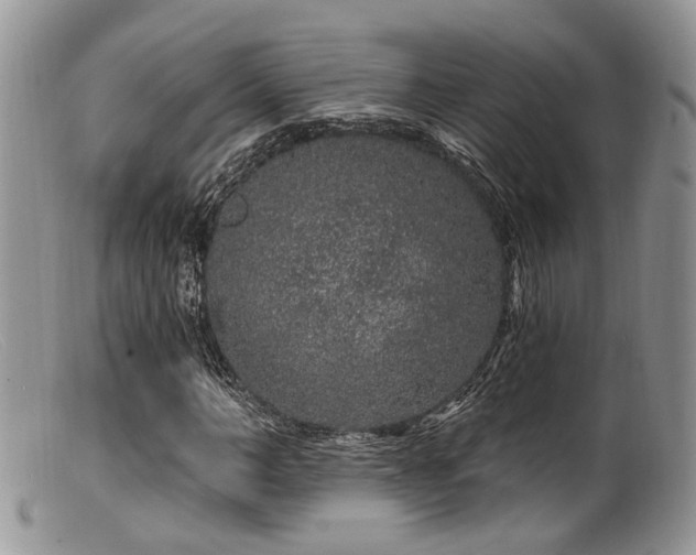 X0000099500966200805151427