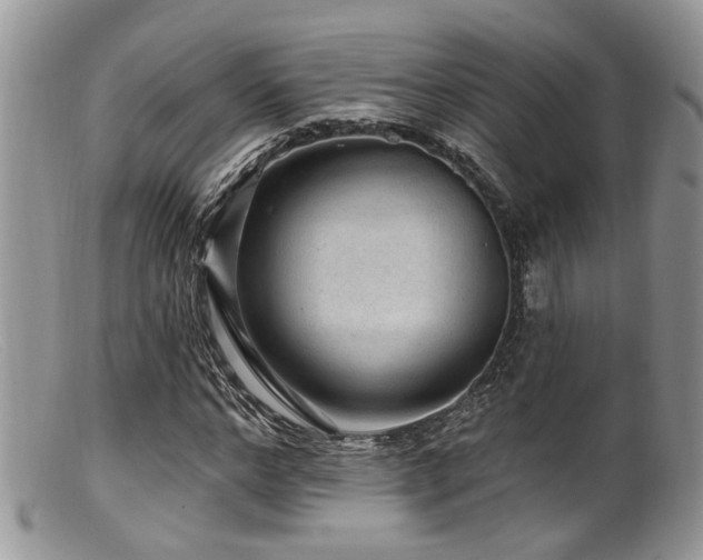X0000099500968200805151427