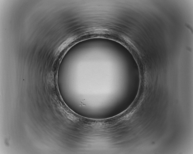X0000099500970200805151427