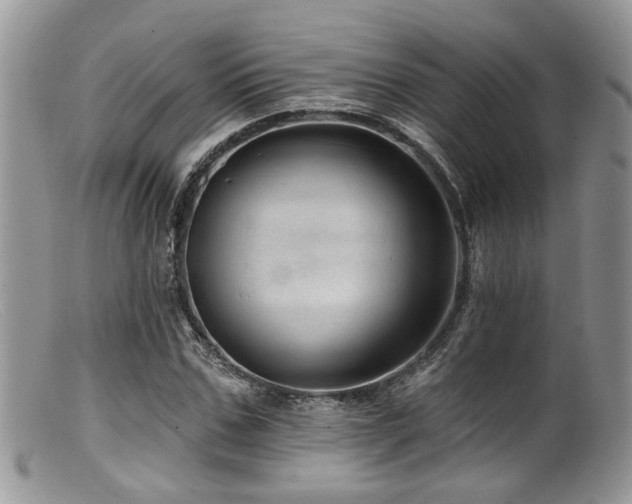 X0000099500971200805151427