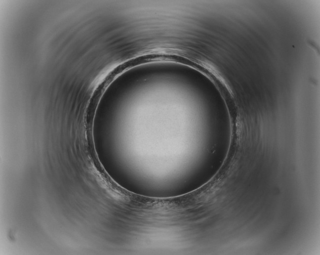 X0000099500972200805151427