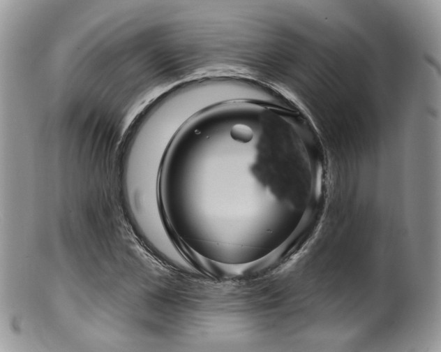 X0000099500973200805151427