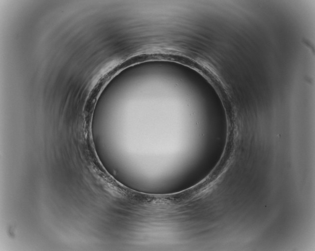 X0000099500974200805151427