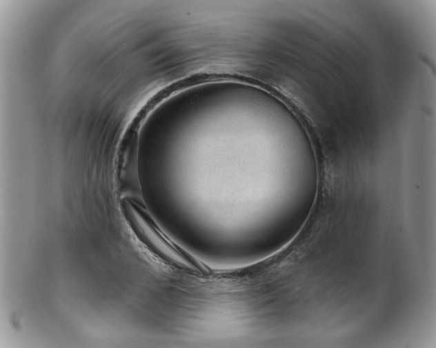 X0000099500976200805151427