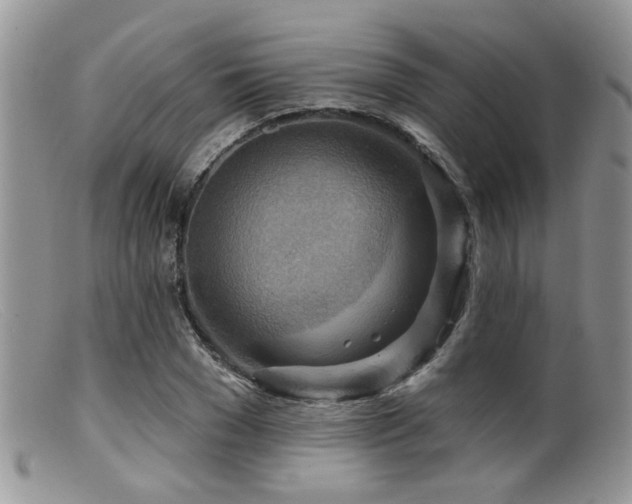 X0000099500977200805151427