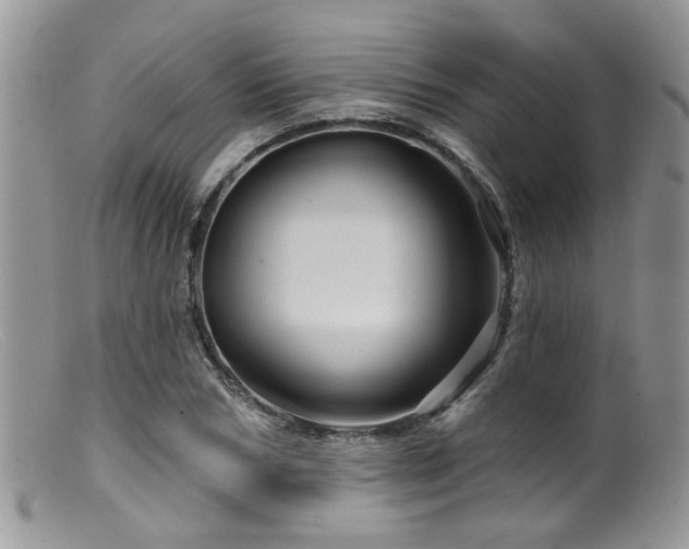 X0000099500978200805151427