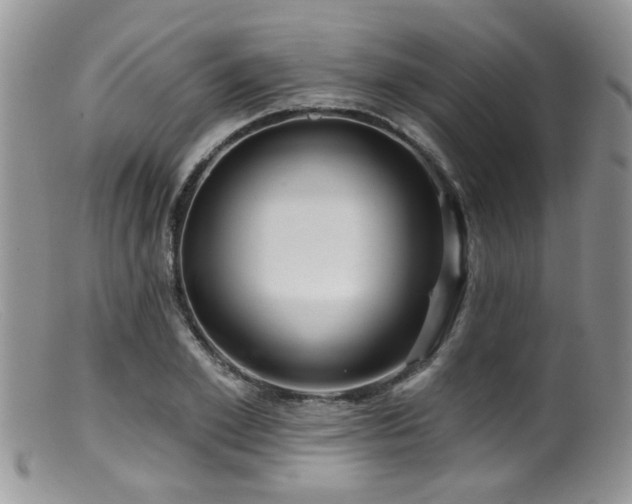 X0000099500981200805151427