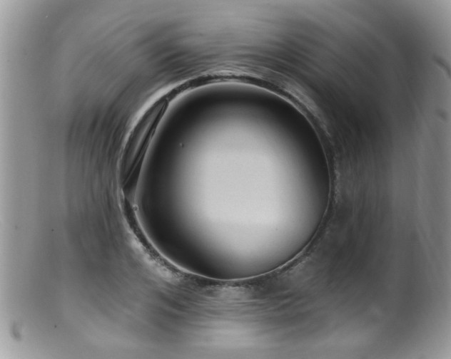X0000099500984200805151427