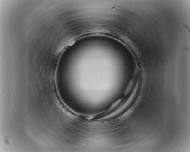 X0000099500985200805151427