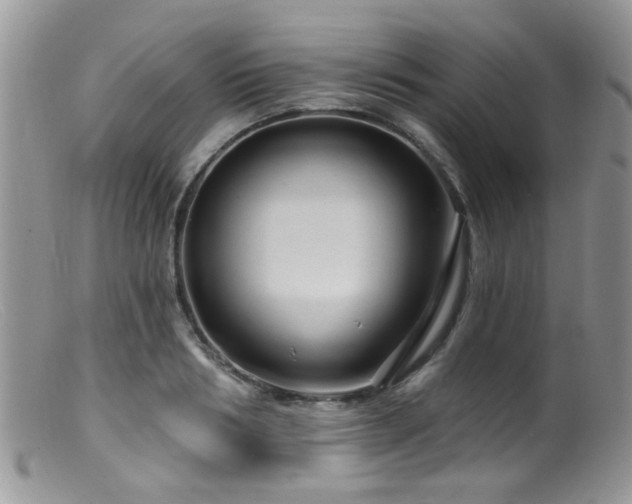 X0000099500986200805151427