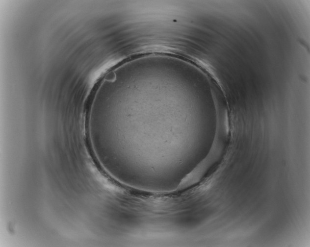 X0000099500987200805151427