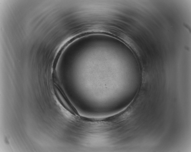 X0000099500988200805151427