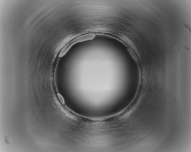 X0000099500989200805151427