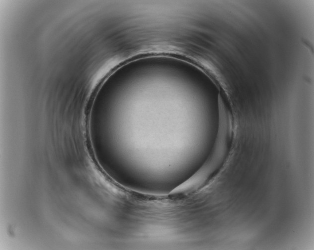 X0000099500990200805151427
