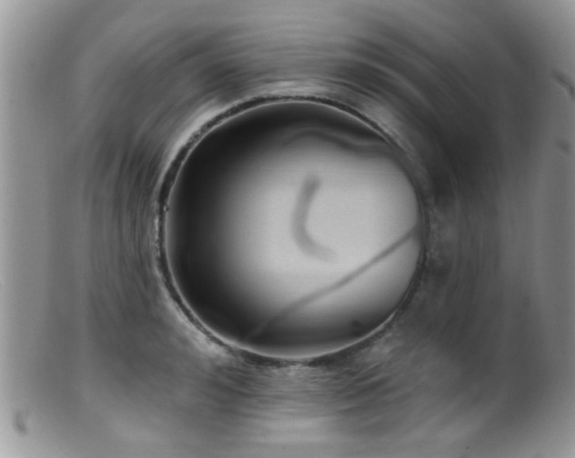 X0000099500992200805151426