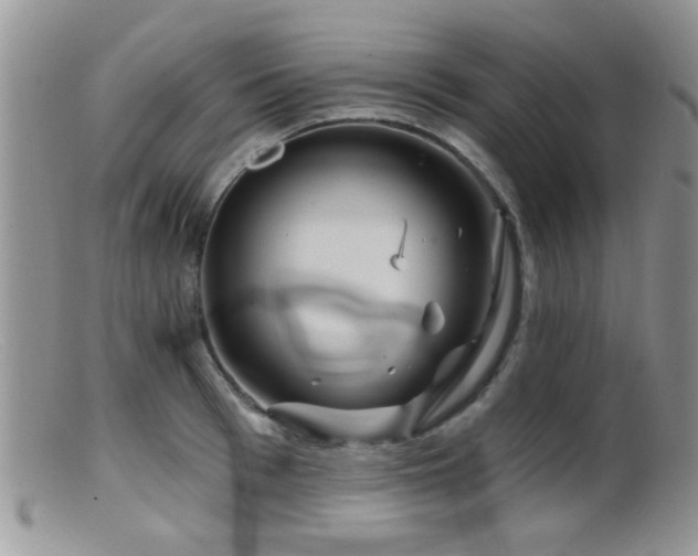 X0000099500993200805151426