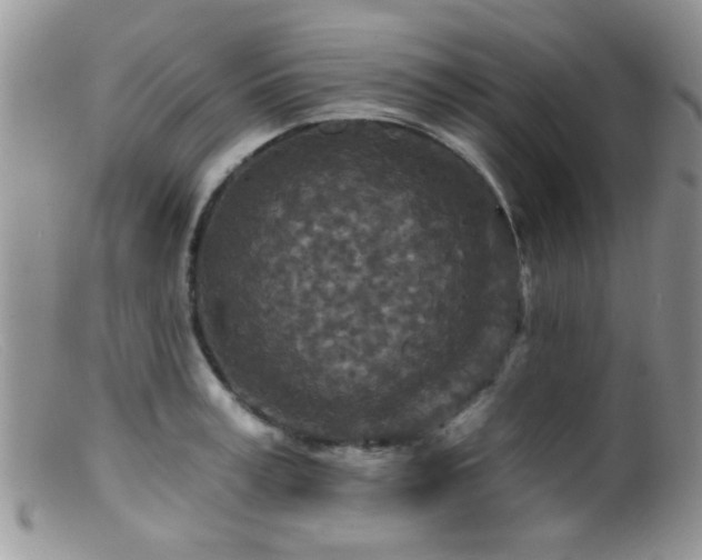 X0000099500995200805151426
