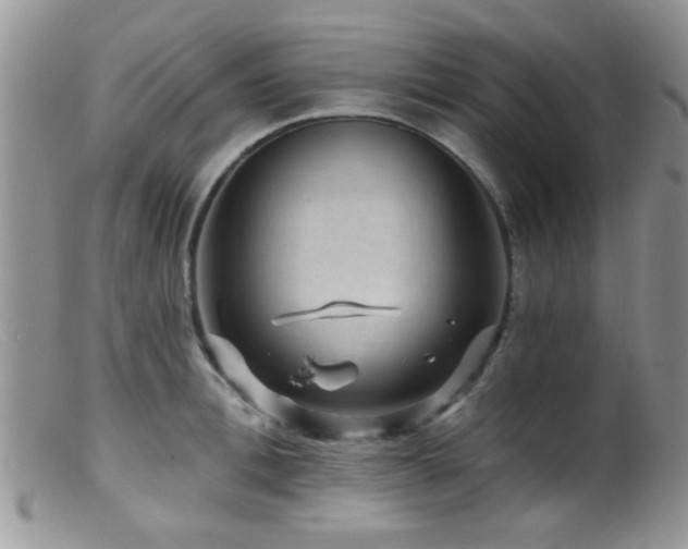 X0000099500996200805151426