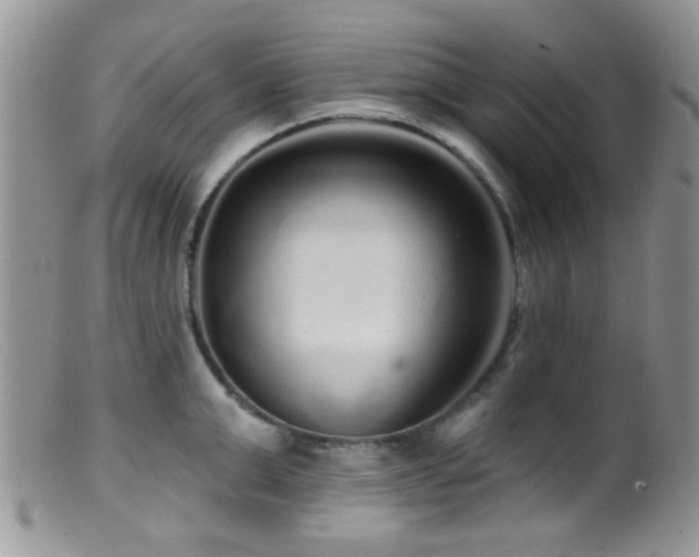 X0000099500999200805151426