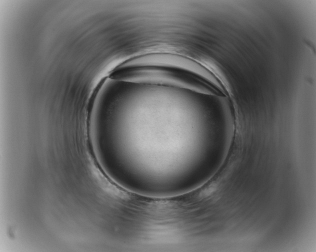 X0000099501000200805151426