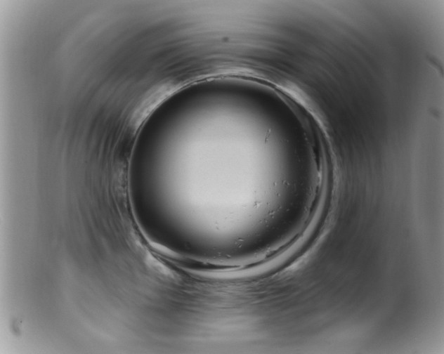 X0000099501001200805151426