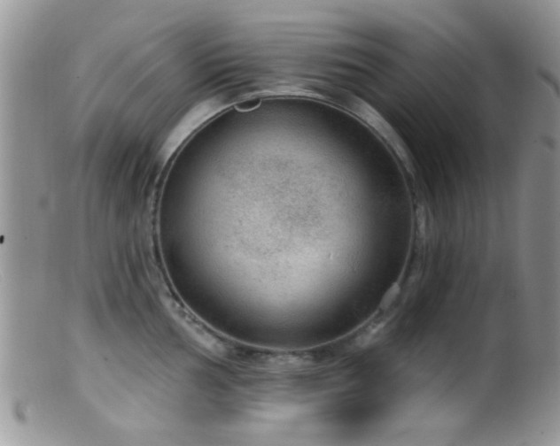 X0000099501002200805151426