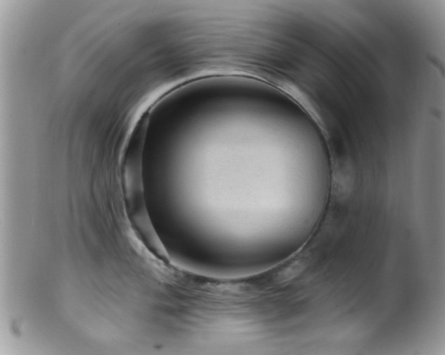 X0000099501004200805151426