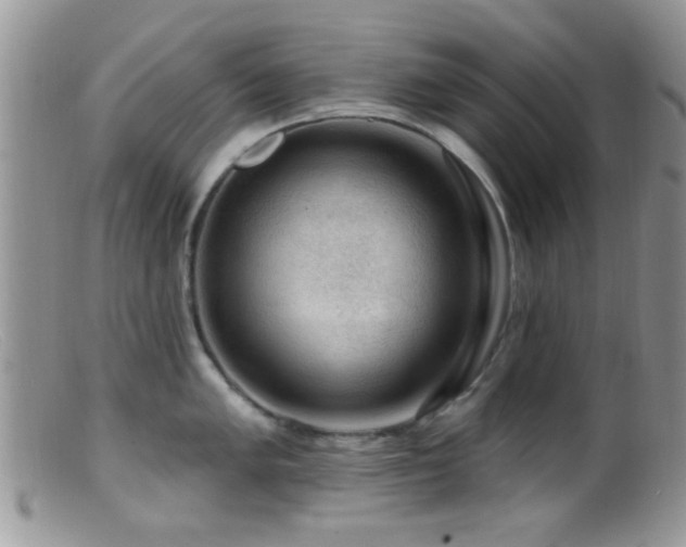X0000099501005200805151426
