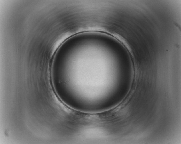 X0000099501006200805151426