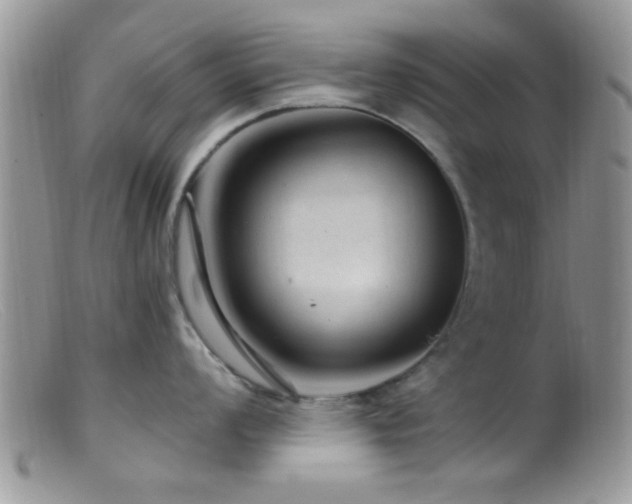X0000099501008200805151426