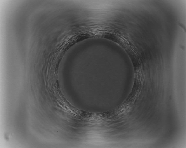 X0000099501009200805151425