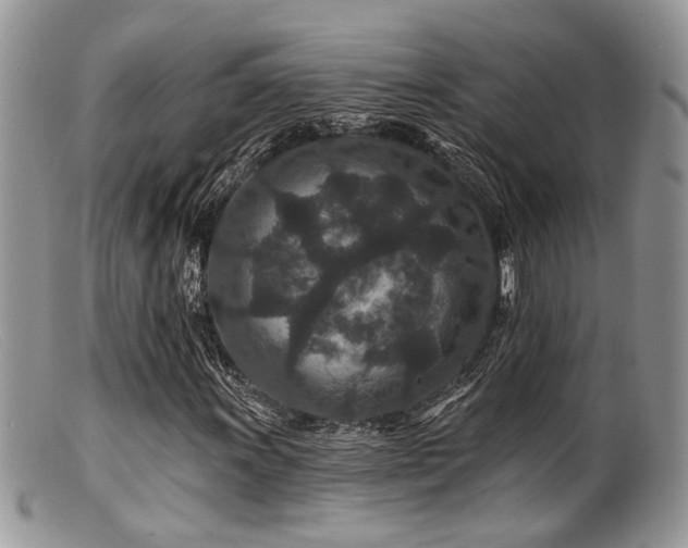 X0000099501011200805151425