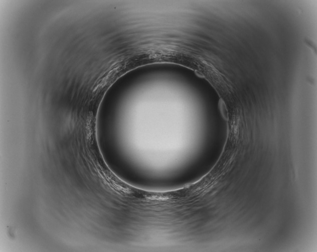 X0000099501012200805151425