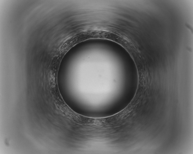 X0000099501013200805151425