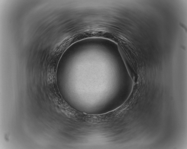 X0000099501014200805151425