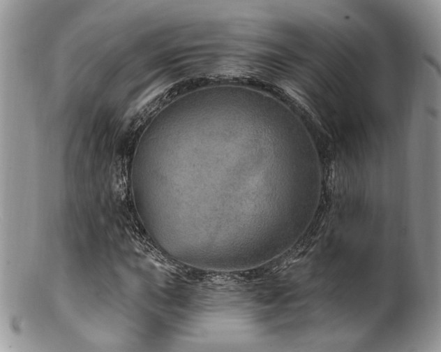 X0000099501015200805151426