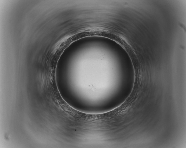 X0000099501016200805151426