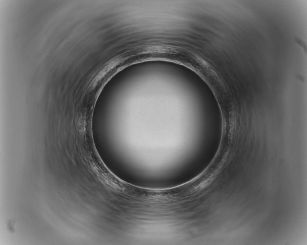 X0000099501017200805151426